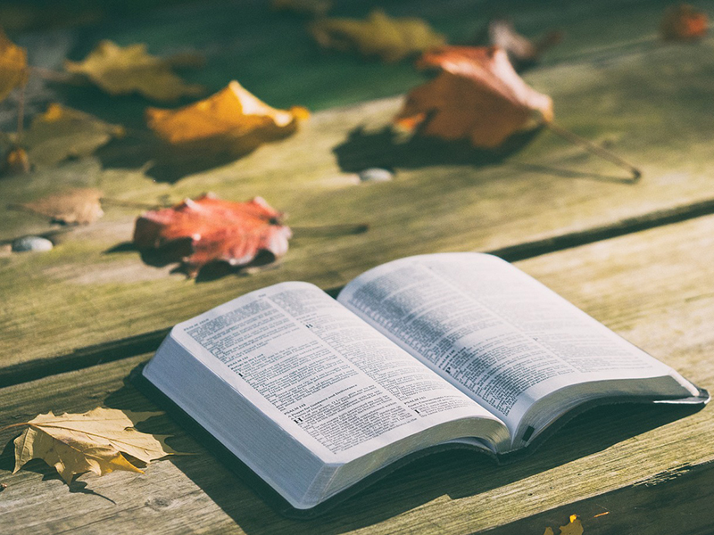 인문학으로 읽는 바울의 생애   ⑫ 갈라디아 교회들